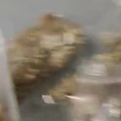 chvr