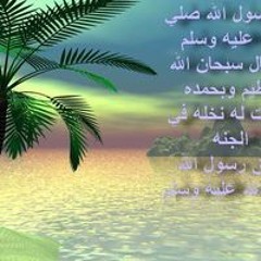 كرم علي