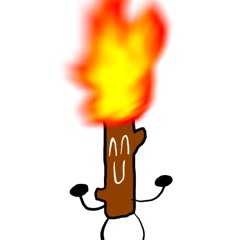 Bryan Flaming Dash 🔥