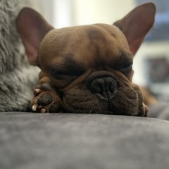 Mauricio Naranjo Correa