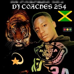 DJ COACHES 254