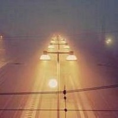 Houston88wilkinsonroq