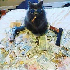 Максим Самойленко