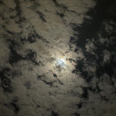 ١١