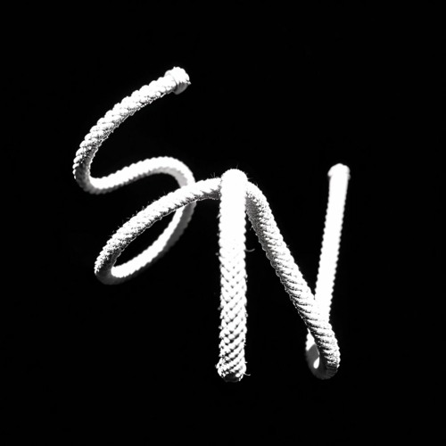 Sven Noon’s avatar