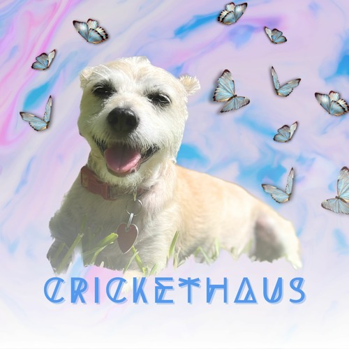 crickethaus’s avatar