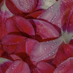 Manipulative_Candy