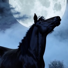 FritztheBlackHorse