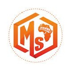 MS Pro