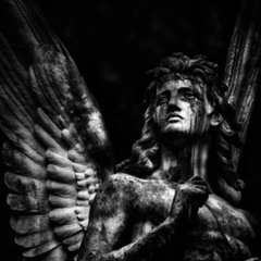 netavo ir nereikalas