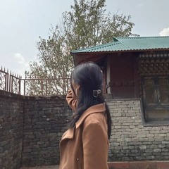 nashriinn