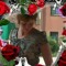 Jurgen Kimberly Vaneeckhaut