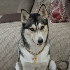 GOD IS LOVE. D.C.4LIFE