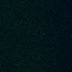 Felix Axemo & Jonas Thunberg