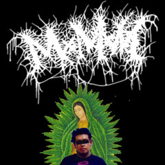 MxMxMx