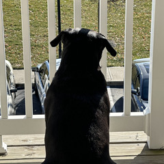 I eat pussy from da back remix