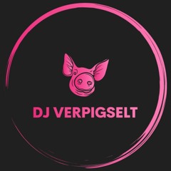 DJ VERPIGSELT