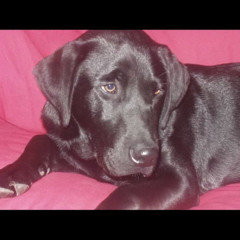 Leroy Lee
