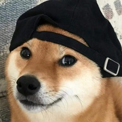 ZapperHuh