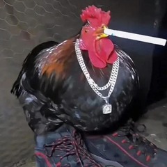 hoodrich chicken