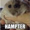 Canadian hooman