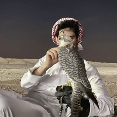 BN ALI