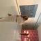 user280419615
