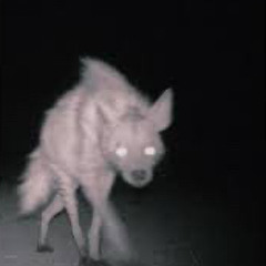 *HungoverHyena*