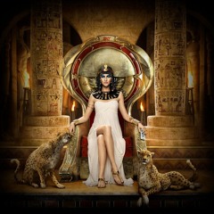 Nora Elbatrawy