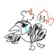 puffin wawa