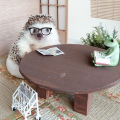 Fábio Santos Rodrigues