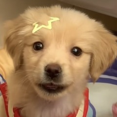 kii