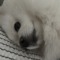 예은아미안해