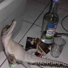 LacosteDrogado