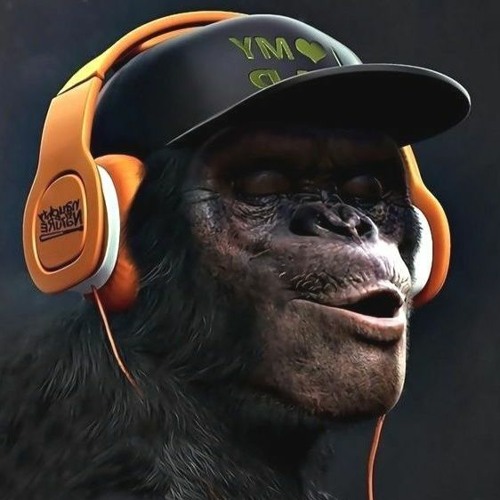 ennio simionescu’s avatar