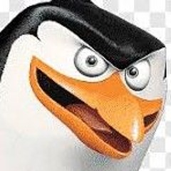 Sir. Sdac