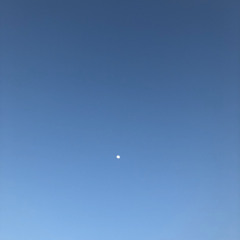 차원준