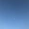 차원준