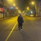 faryad.013