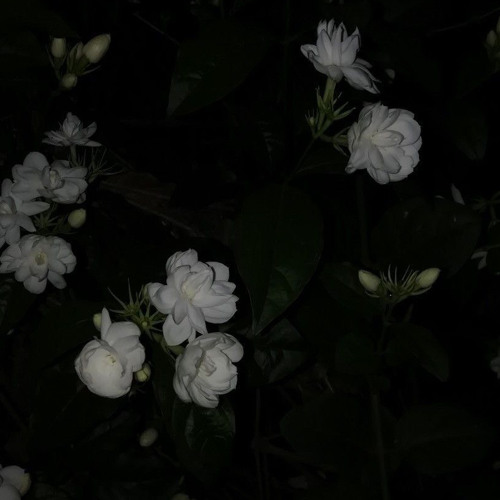 soundscape2.2