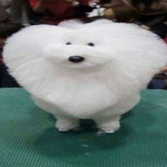 9984