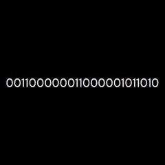 001100000011000001011010