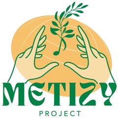 Metizy Project