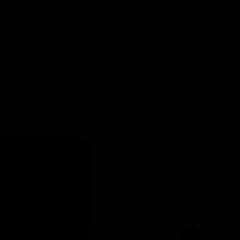 qoii
