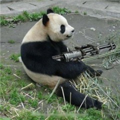 lil burjingle