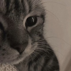 sythor
