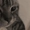 sythor