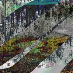 lizzerdkween - big sur (a voice memo) [jonktulip edit]