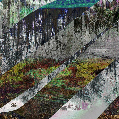lizzerdkween - big sur (a voice memo) [jonktulip edit]
