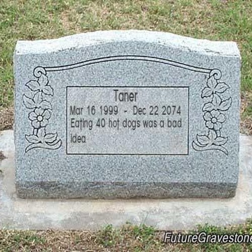 Stream Bad Day (Fuel Cover) by Taner Guldin Listen online for free on